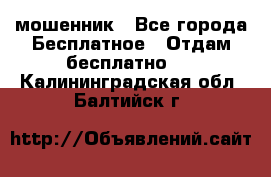 мошенник - Все города Бесплатное » Отдам бесплатно   . Калининградская обл.,Балтийск г.